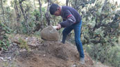 project