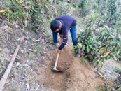 project